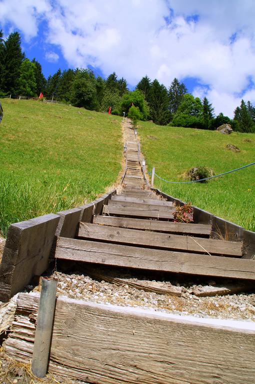 Pension Holzknechthof Am See Neustift im Stubaital Ngoại thất bức ảnh